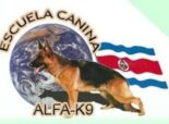 Todo sobre perros en ALFA K9